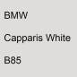 Preview: BMW, Capparis White, B85.